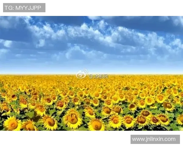 足球明星在赛季间隙享受生活放空自己寻找内心的平静与灵感 足球明星在赛季间隙享受生活放空自己寻找内心的平静与灵感