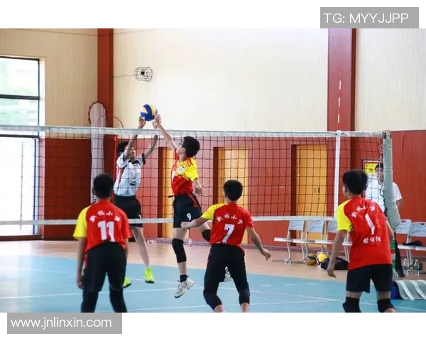 重庆排球队比赛经验分析与大满贯点评的深度探讨 重庆排球队比赛经验分析与大满贯点评的深度探讨